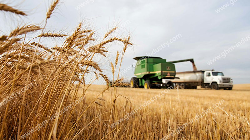 Agriculture